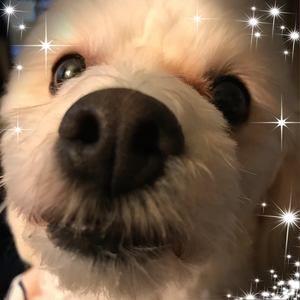 Meet your Posher, Michele